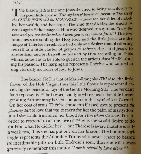 Theresa coat description